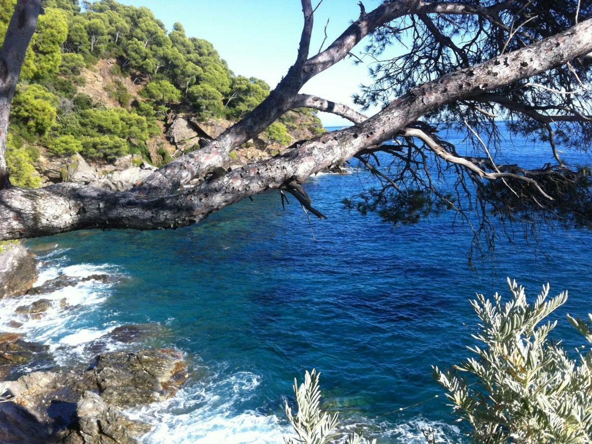 Villa de vacances au calme proche de la mer La Londe-les-Maures Exterior foto